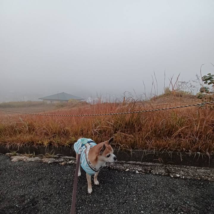 02951951 3b2d 4258 89d1 713e9eec55a7 1764195747919