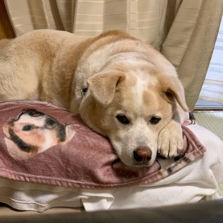 02951b02 248a 4976 9aa3 093b141e609a 1624353435305