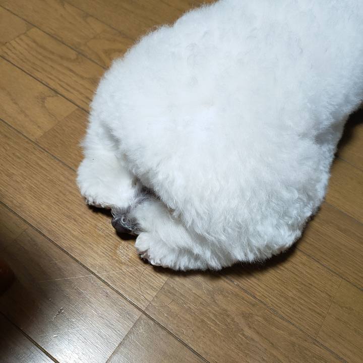 02951e66 e205 4018 84c4 5e65cbc590a2 1766923824502