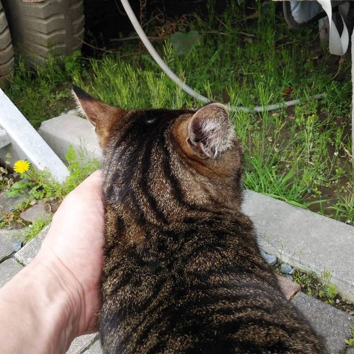 02957525 723f 4b40 b939 c299daab14ae 1617101238717