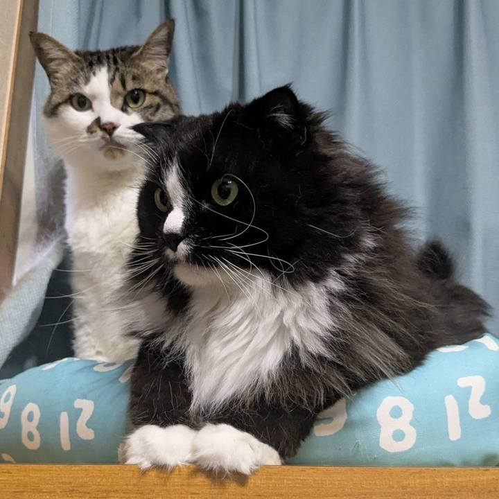 029587c8 56b0 4383 bb18 f2536815152b 1747557368077