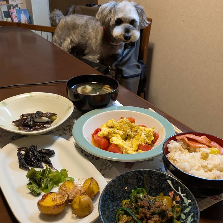 02958ce4 76c5 464f 98cd 72d827f8b235 1762871299377