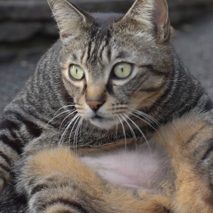 02959b3e 2d36 4184 887a ba527ad5a8cd 1554021806195