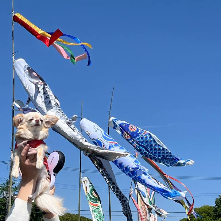 0295a8ee 80b7 45e0 afff 96e9f019b95b 1746252997620