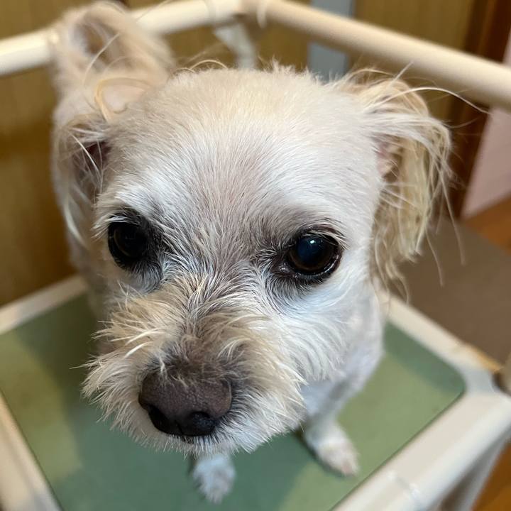 0295b24f c7bd 46e8 96f2 32c44c88d559 1687082287388