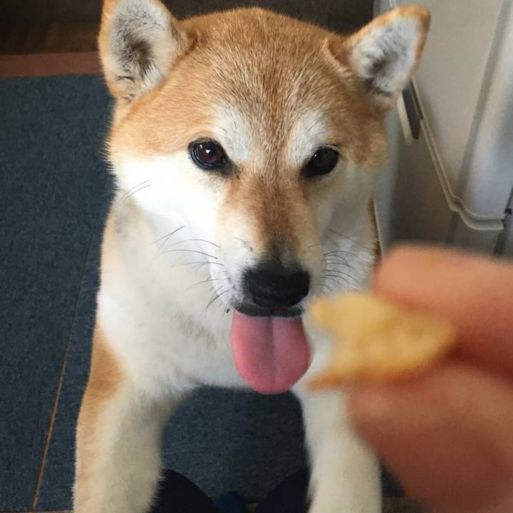 0295e8fe d2ca 4576 b737 9ca5f7eae9a4 1588397832551