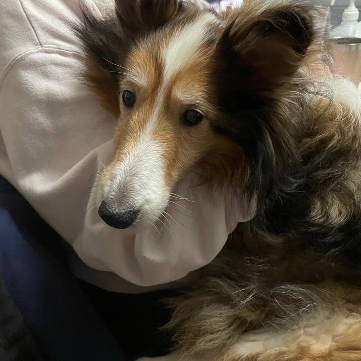 0295fb03 e380 4436 97e4 785bee839990 1614000314658