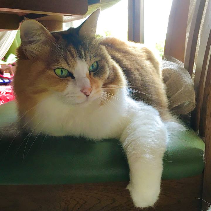 0295ff21 ca33 4d1e b97e a6319aee65cc 1602457873473