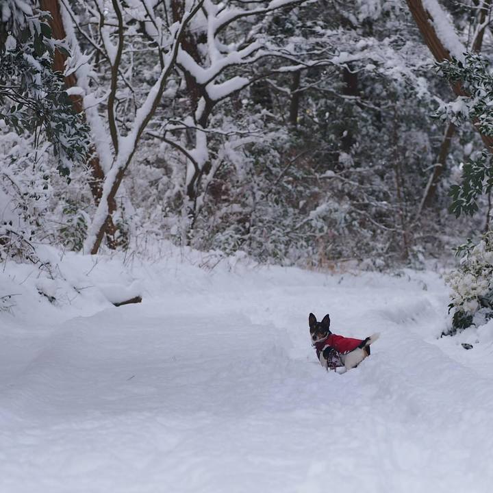 02963143 a47a 46a8 8f36 0911804d88c0 1675937472743