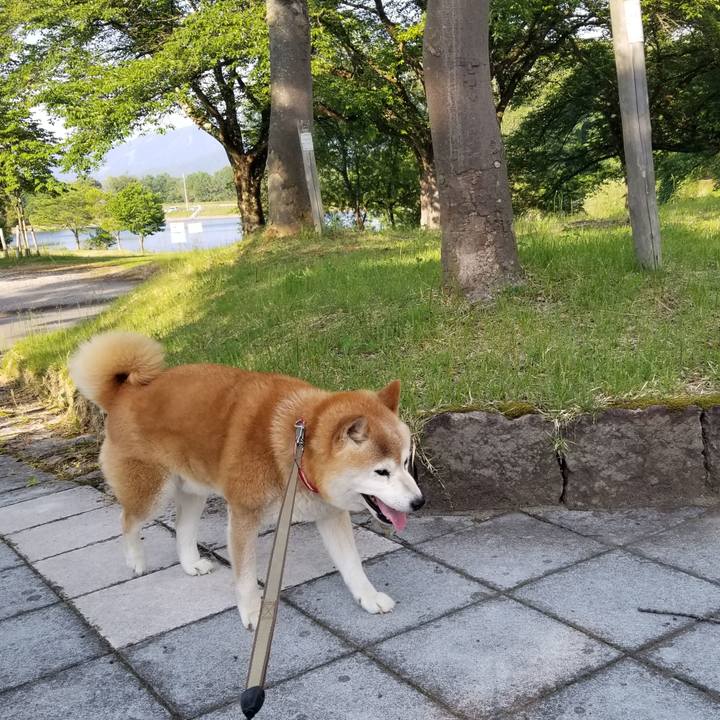 02967eef 1bbd 4d38 8659 1693832034e6 1717228987313