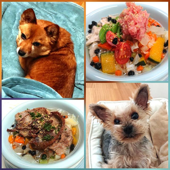 0296ac2d 1eea 48e4 b9c3 dda1232cb6fa 1613459926225