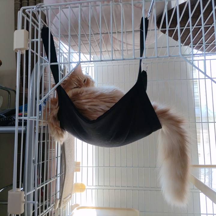 0296dd8c 0705 4781 b902 50d671403c8b 1656558861073