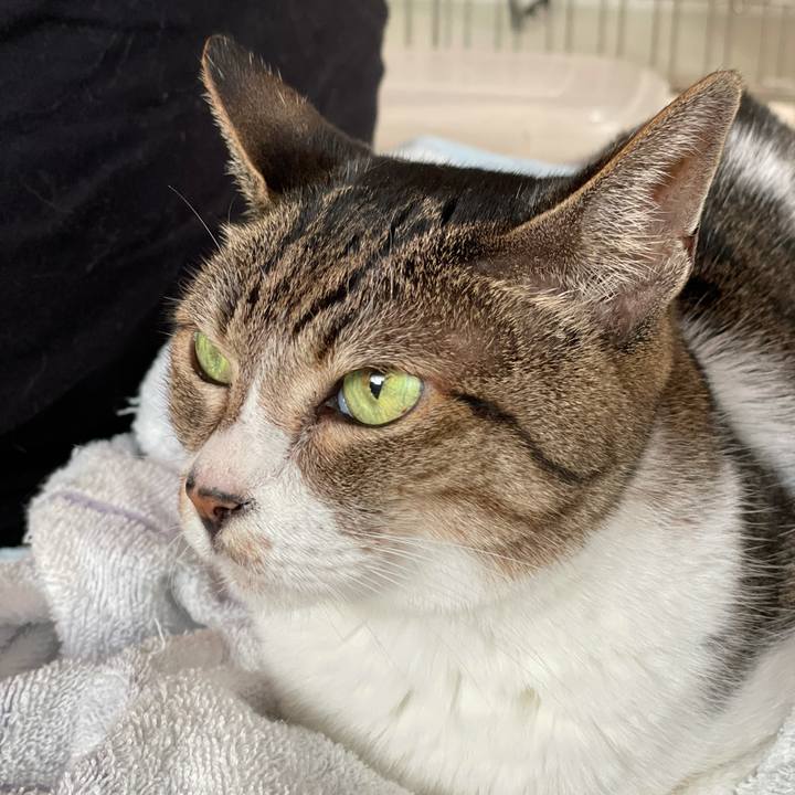 0296e7a9 1c8e 4f3b aaa7 5e9097fb7721 1632533061478