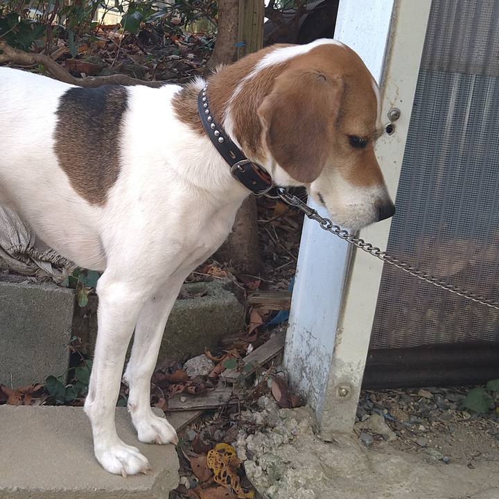 0296ffad 354b 4acf 9993 f971873209c6 1634827682731