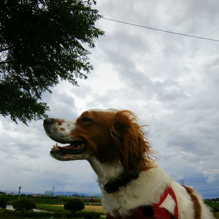 0297113b 4976 4670 9c37 ff7bc8800a13 1538285767224