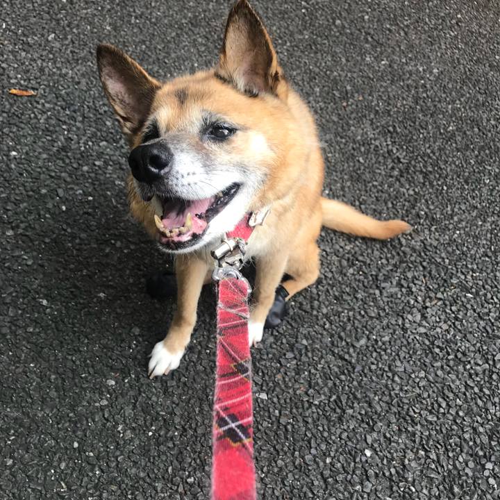 029716e5 9f23 40f8 9ab7 7cd5ef042b93 1533075360236