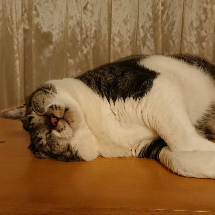 029771b1 e28a 4f35 870a 101dc87368ac 1535977212697