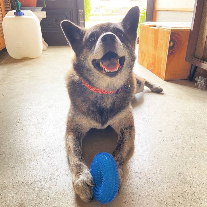 0297acdf 6d3e 4080 9c62 296e5e289b36 1630125940955