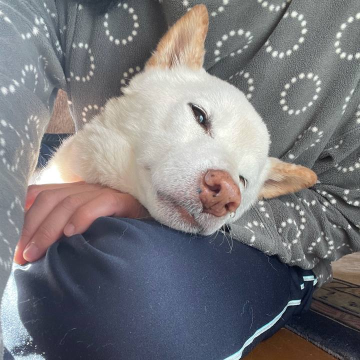 0297bdc2 36ac 4b01 b3f1 82a150317b8c 1638076627896