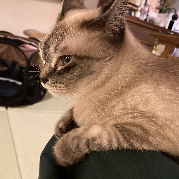 0297e463 d85f 4741 926a 03eaf7aa7ea2 1722342066222