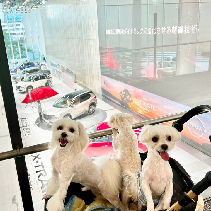 0297e76e b8ad 4571 898c 595ec8d960c4 1660461451739