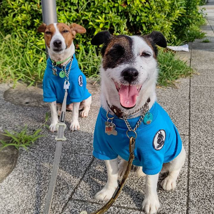 0297e845 09e6 46a9 bfde d0d5d7bc69ef 1658613958750