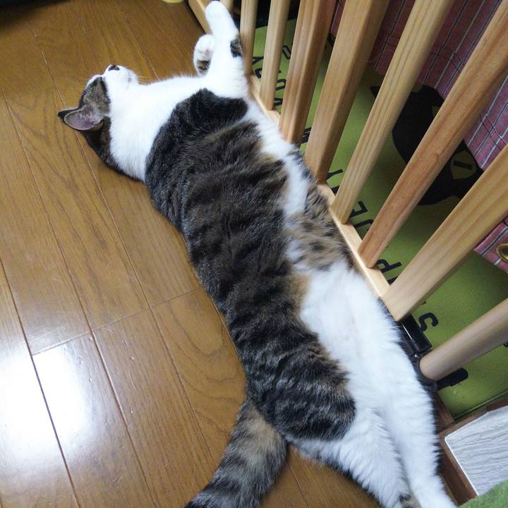 02986723 d030 47ef b926 44816d2a38df 1656765204295