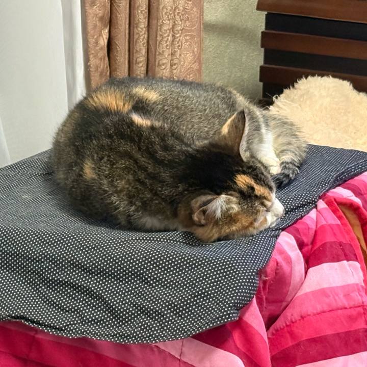 029869ac dc5c 4819 b631 c8dd321fb65d 1762349129458