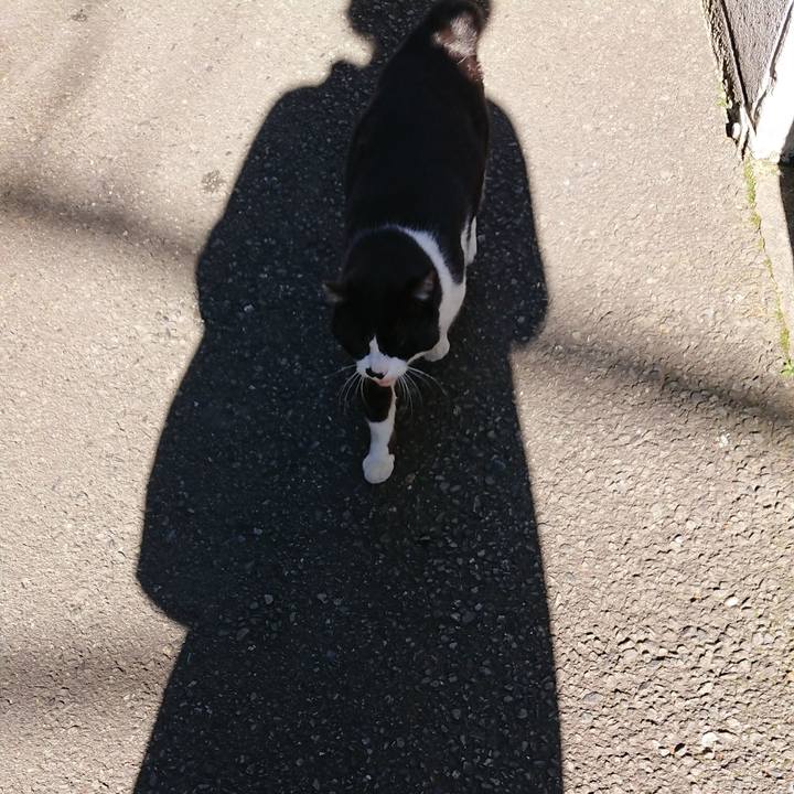 0298a5aa a679 487c 8f02 e2a3a9dc0f21 1555370134475