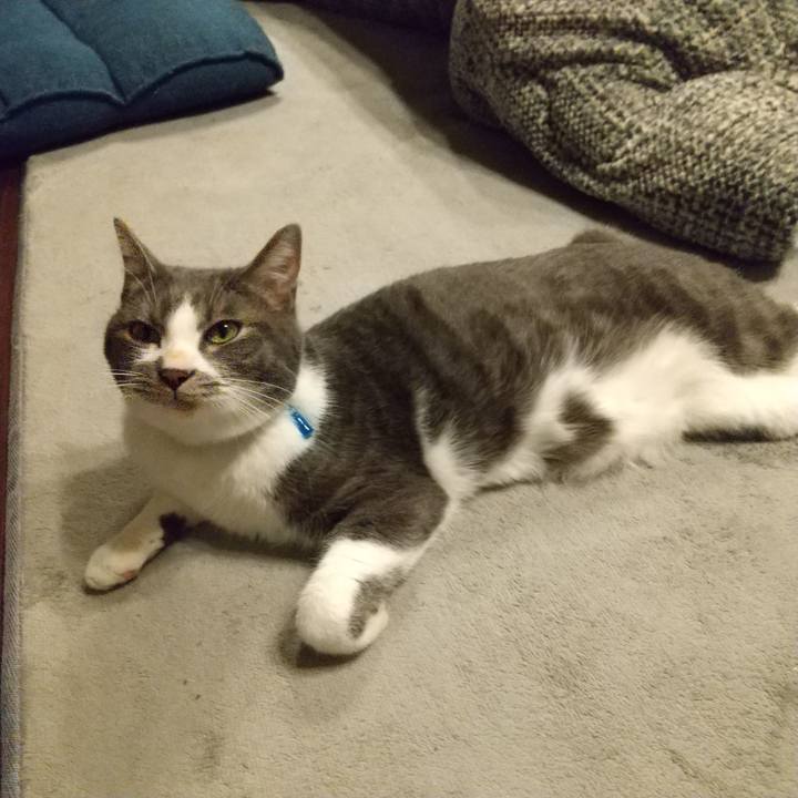 0298e321 6a17 4bb0 bdb1 d37a76c49552 1607673509645