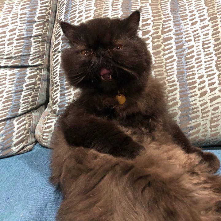 0298e94c 816e 45a9 b080 1671278ebb6e 1600777449175