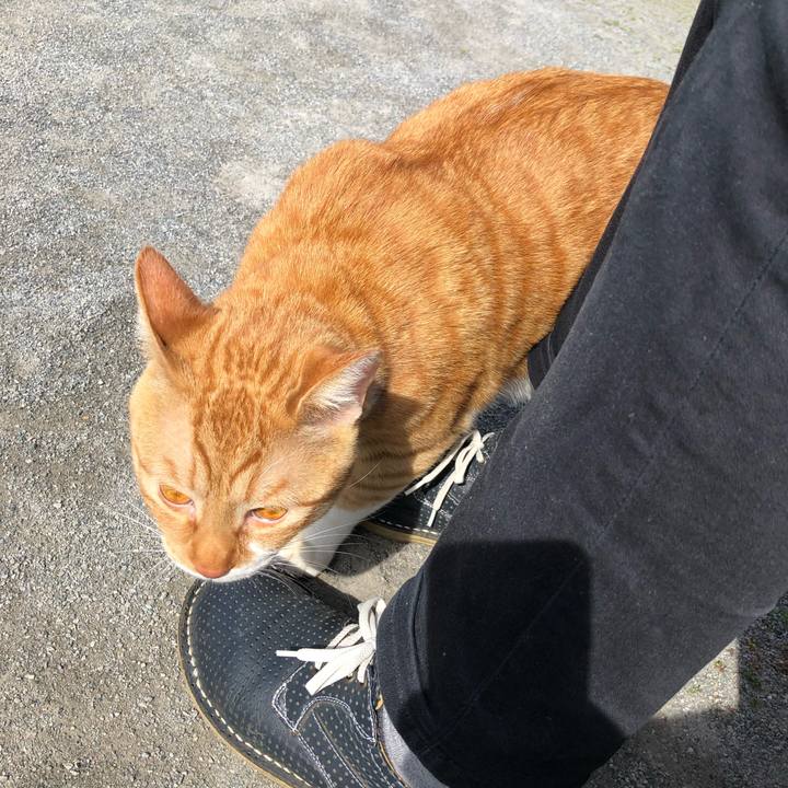 0298f37b 94c9 414b bc47 7321b0332804 1550818992728