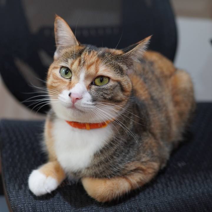 0299132a af1f 4b17 8f9e 5a13c964d6cf 1603895299063