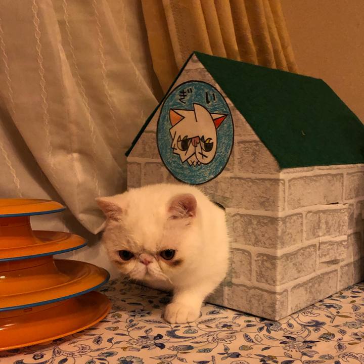 02991af1 5439 4e28 ba06 753b001cd6ed 1556625225208