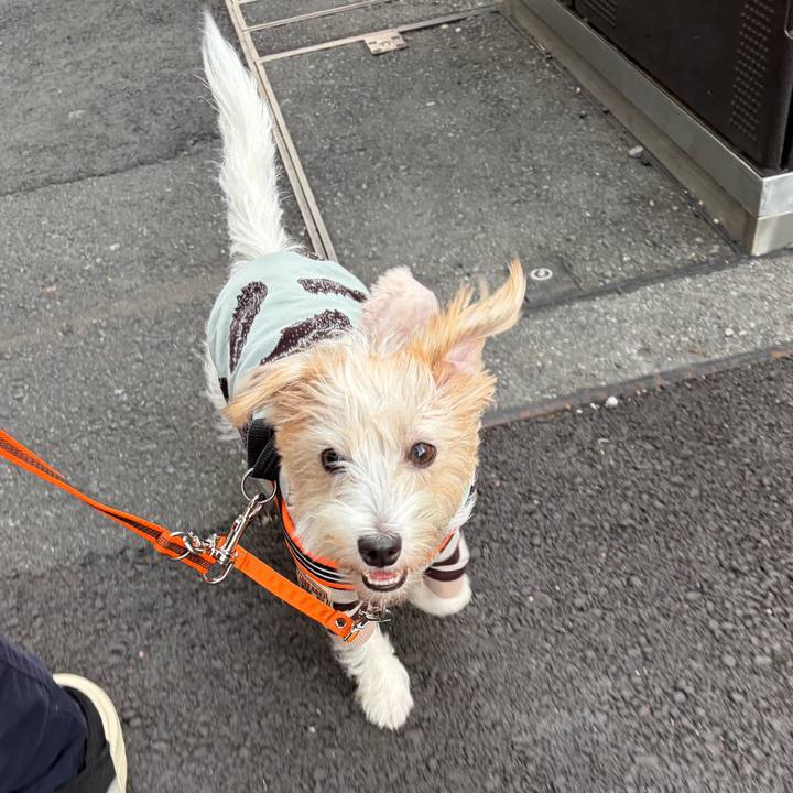 02992879 60fc 4a6c 8a73 197fa62c30d0 1762591232368