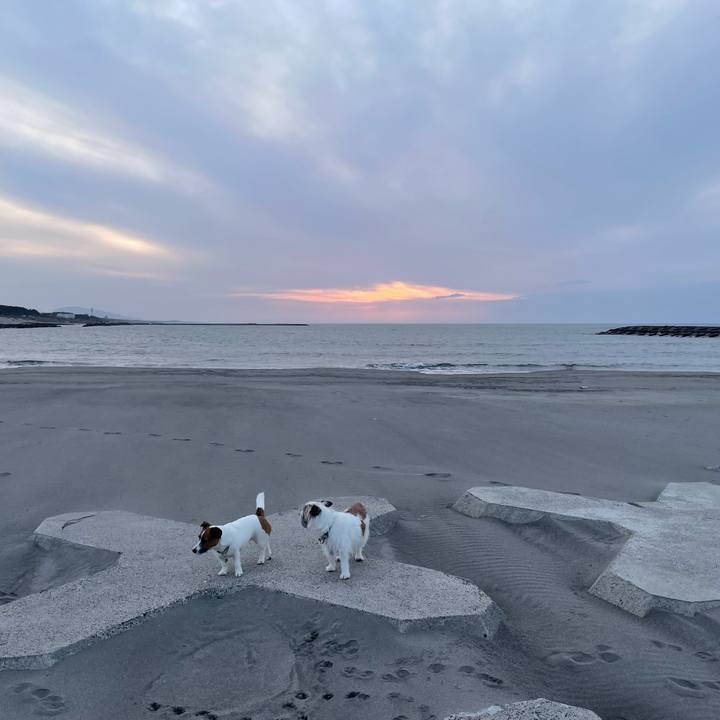 0299458e 4e32 49e8 8520 982bfef08750 1707900484507