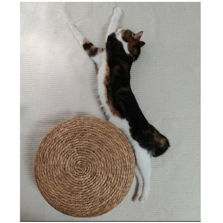 0299599b f0fb 4d5f bfb3 b1d9f8189e58 1723535413321