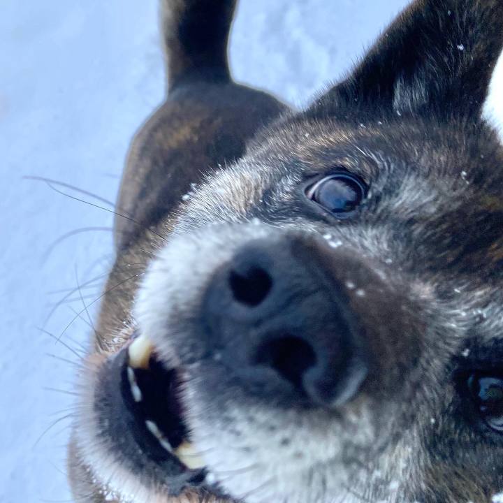 02997ade f9bd 4bce b143 db391bcf2967 1644188805348