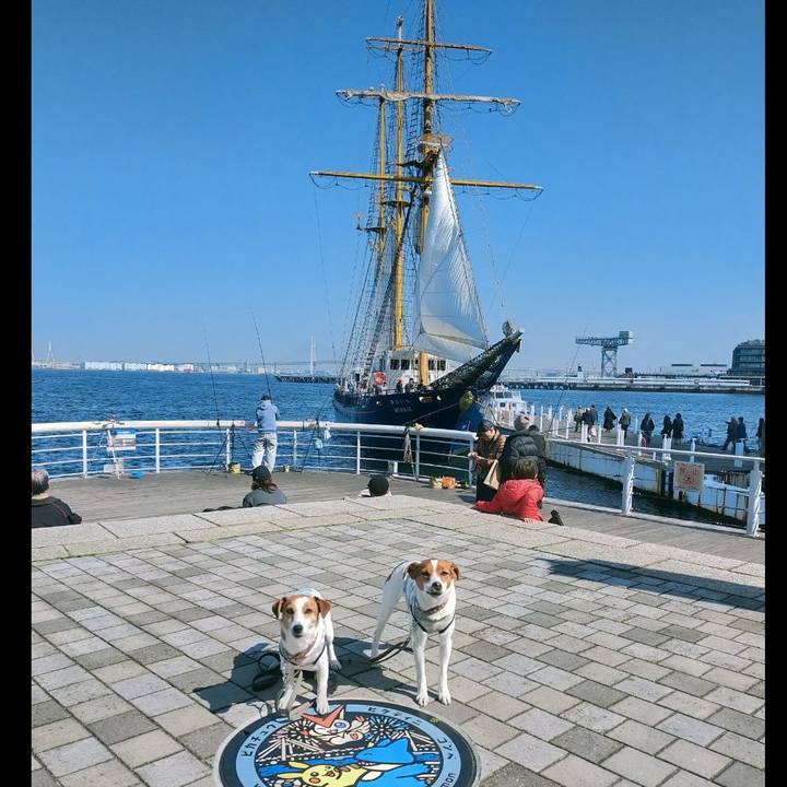 0299a126 a23d 4fd9 a2bc 07bf2c20b983 1774084594913