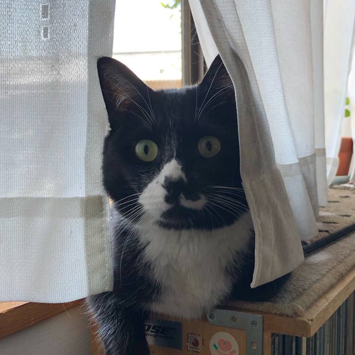 0299b760 fbe7 4eba a37e a51fdb4daaa8 1655695015633