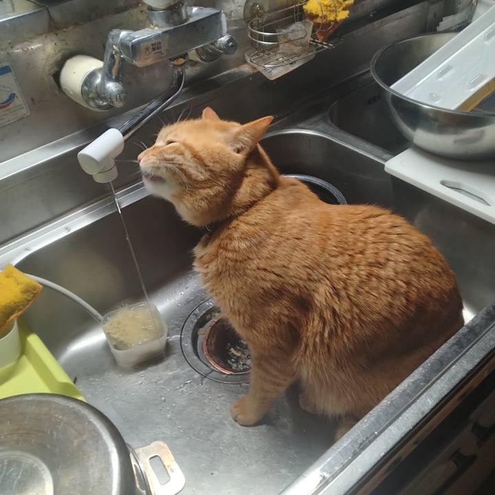 0299d8c4 ae64 47c1 8d16 e0a3f20d6ff1 1709503875587