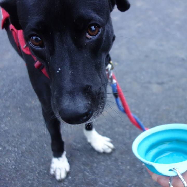 0299f05f 09bc 49d5 b279 ecc72ae82c2f 1592993315372