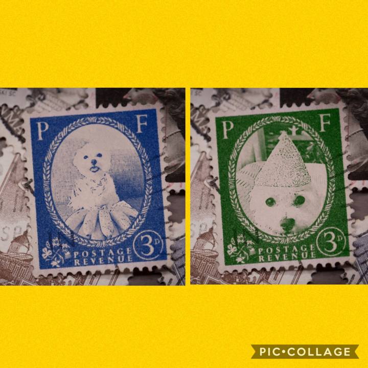 029a60c7 467d 4f7f 8ed8 0bb95aceab10 1569912506737