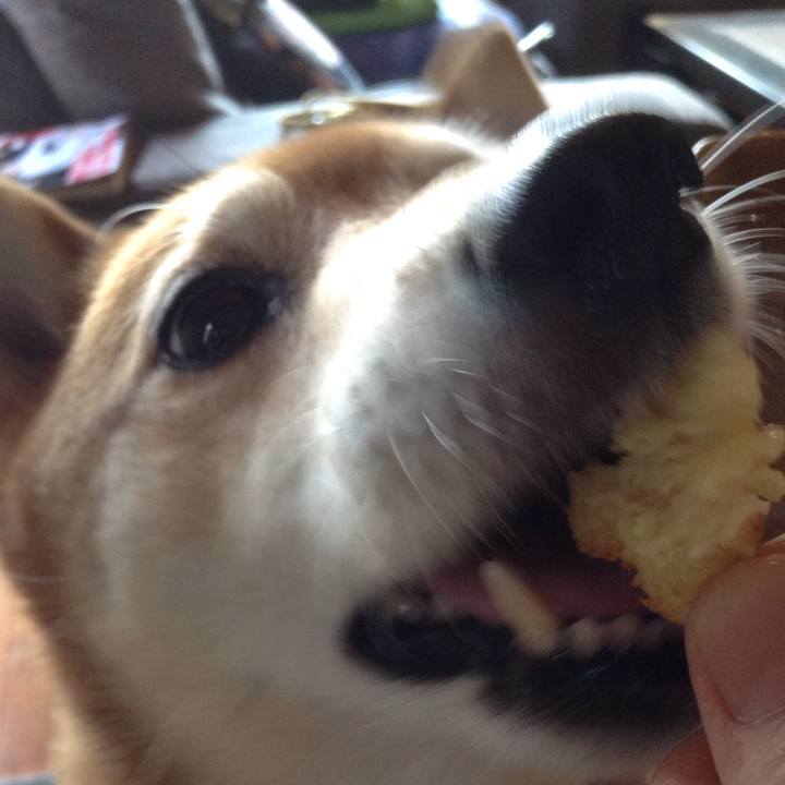 029a66e4 22d9 4d06 a319 0cd203c028dd 1522933708292