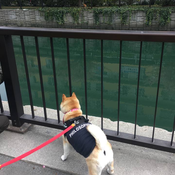 029a7962 ab84 41ad a947 941cec5ae6ef 1583562678666