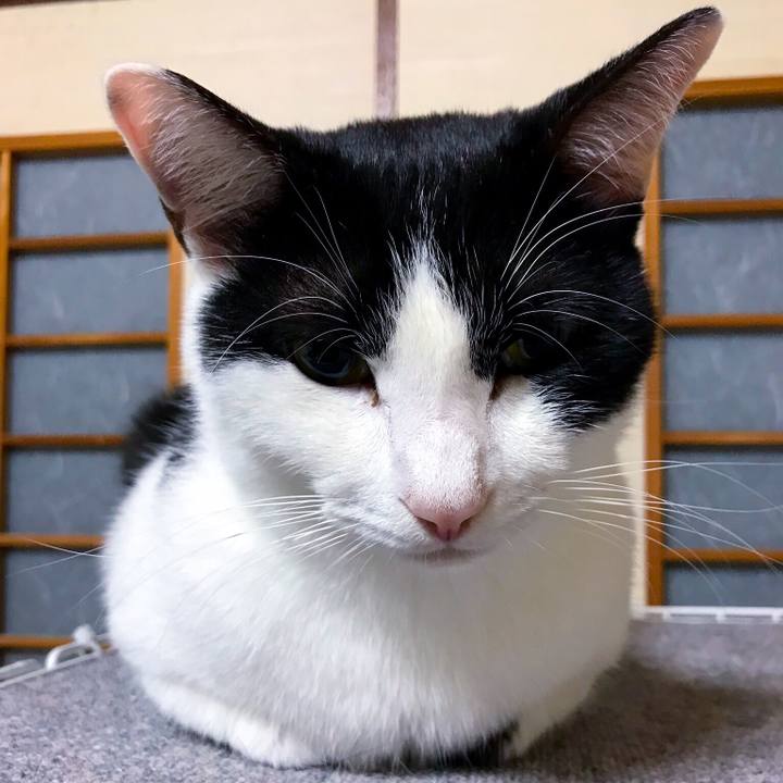 029a852a 77f4 4ea9 94af 088deafb29b9 1509795270058