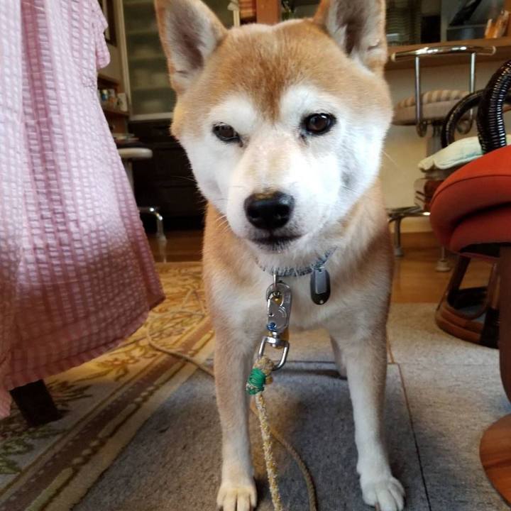 029a8e0e 69da 49bd beaf 4d7fc34bd3ad 1565683734993