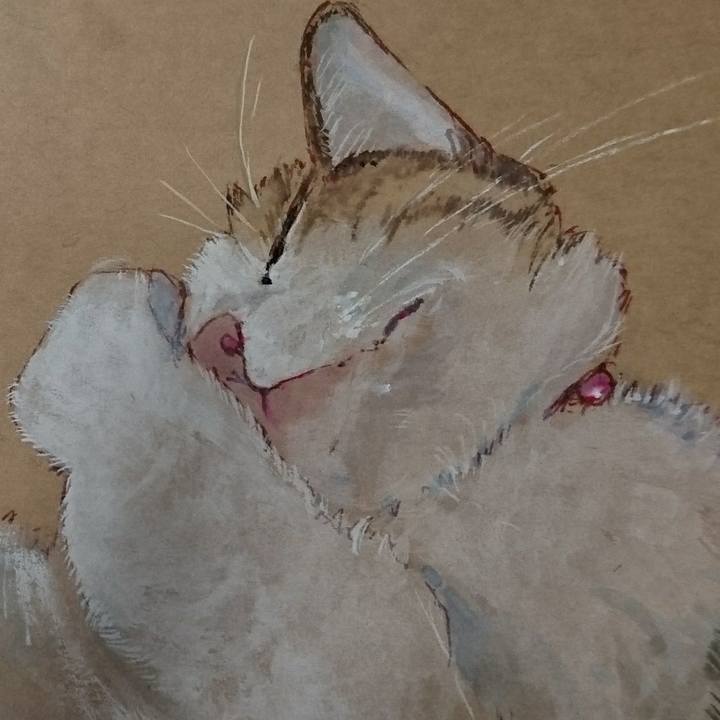 029aab1d 914d 4844 b258 98f52d90057d 1520608538074