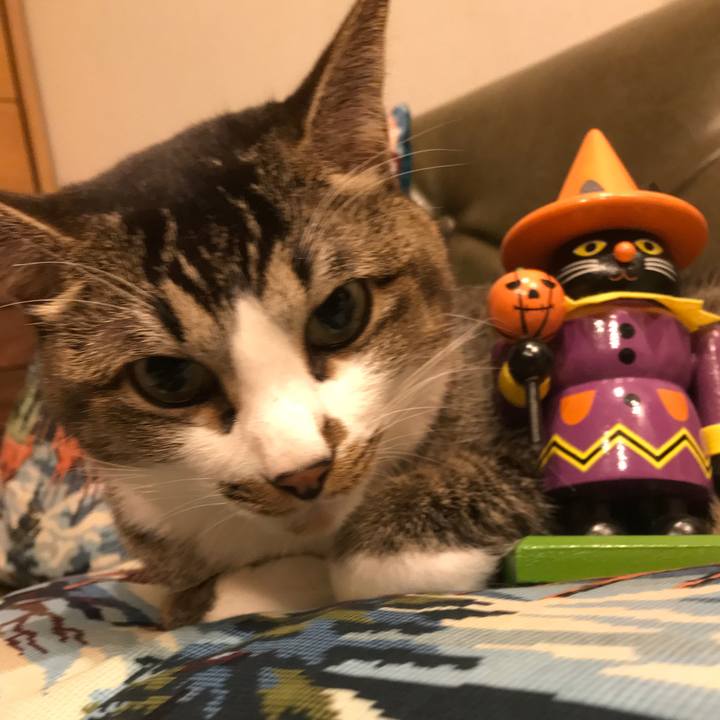 029aace7 3be7 41f0 8b39 f18a8f450048 1572527692909