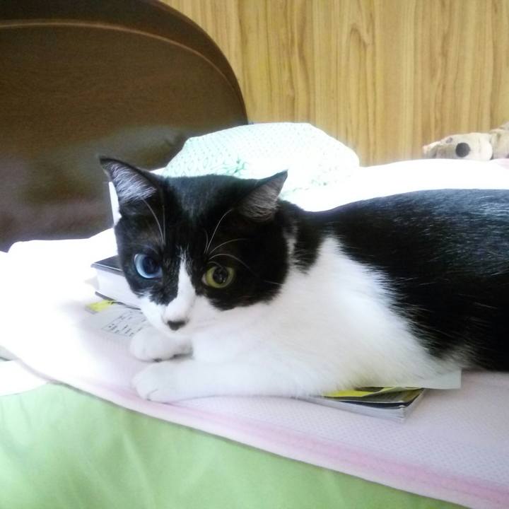 029ac951 ac09 4e0e af5b a821b06fe144 1536326749681